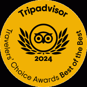 TC_BOTB_mustard_winner-gif_L_2024