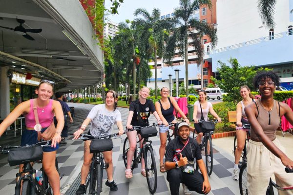 24-Wheel-Ladies-Bicycles